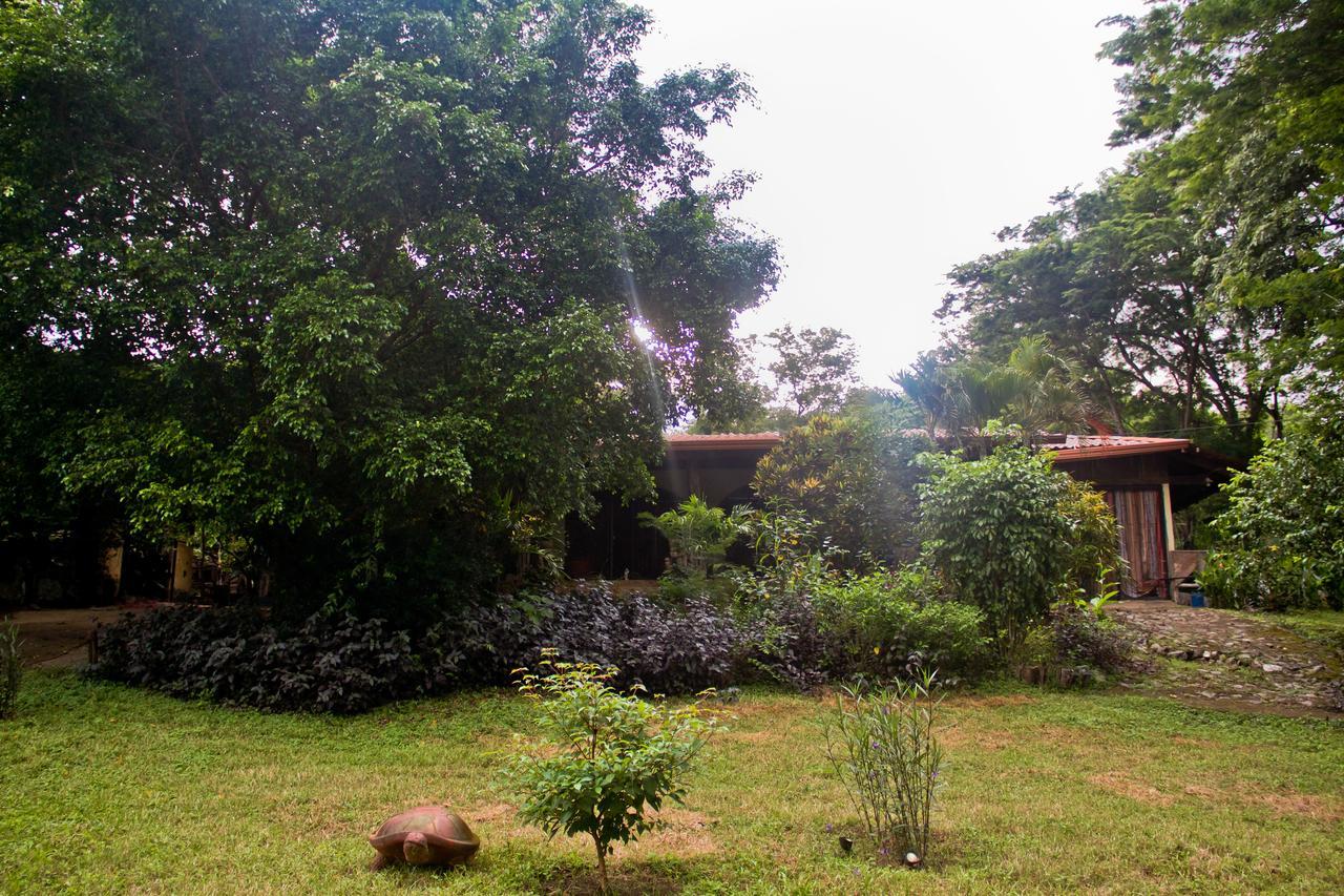 Sardinal Quinta Mi Tata B&B المظهر الخارجي الصورة